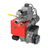Bentone Biogas Burner BFG 1 H2 15-50 kW DMV-DLE 507/11