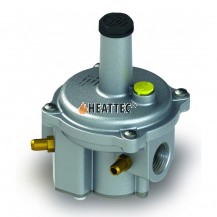 Gas pressure governor FGDR